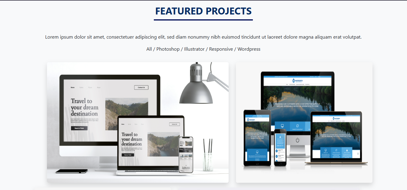 business website projects