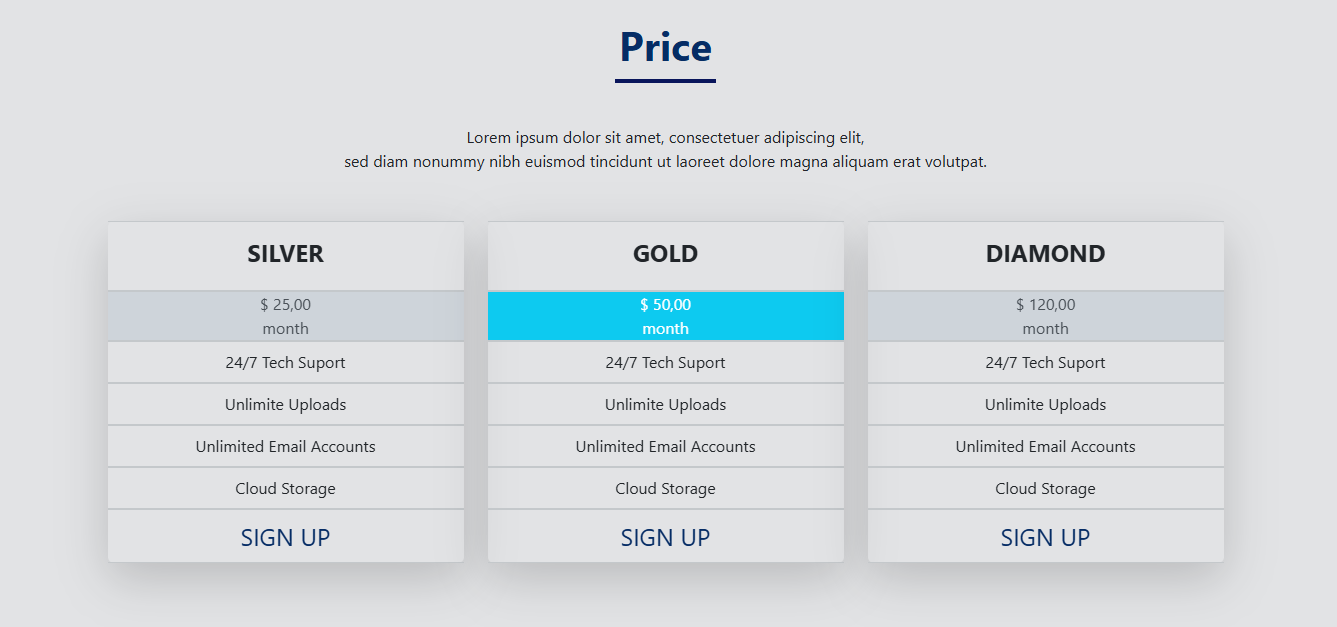 business website price section